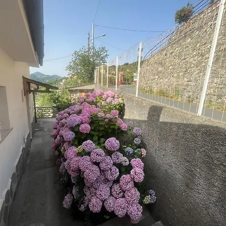 La Casa Di Luisa Moneglia